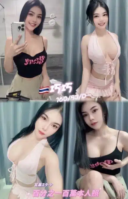 新北定點茶-巧巧/160/53/25/D