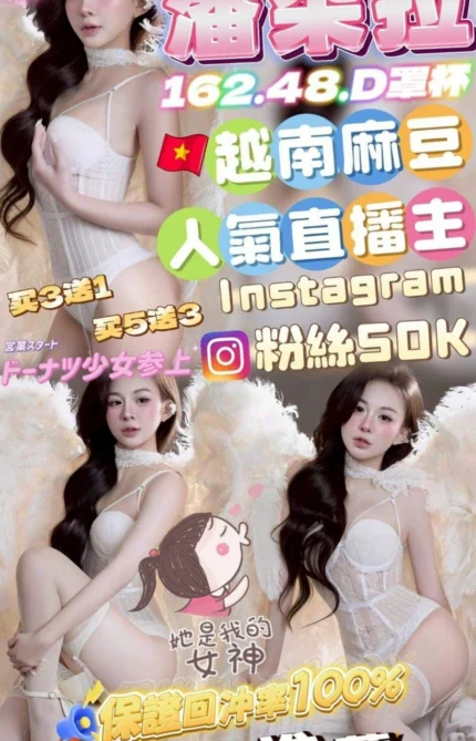 台中定點茶-潘朵拉/162/48/25/D