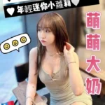 台中定點茶-奇多/150/46/21/E