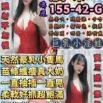 台北定點茶-波咪/155/42/22/G