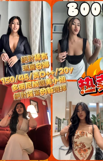 台北定點茶-瑪麗安娜/150/48/20/D