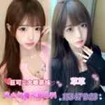 台南定點茶-草草/153/47/23/D