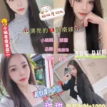 新北定點茶-甜甜/160/47/19/D