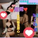 台北定點茶-菀菀/161/47/26/C