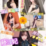 新竹定點茶-藤沙妃/157/43/21/D