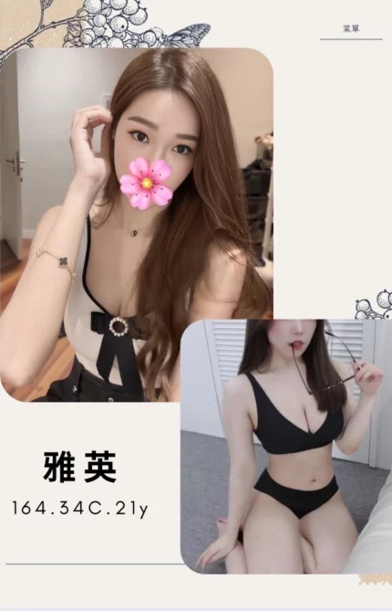 台北外送茶-雅英/164/?/21/C