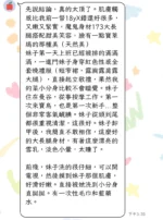 台北定點茶-李時安/173/50/21/D