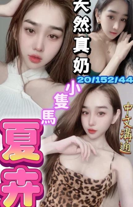 台中定點茶-夏卉/152/44/20/E