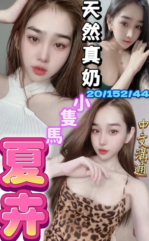 台中定點茶-夏卉/152/44/20/E