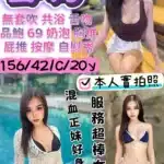 宜蘭定點茶-雪莉/156/42/20/C