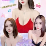 新北定點茶-若琪/170/50/24/D