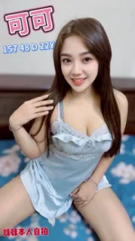 嘉義定點茶-可可/157/48/22/D