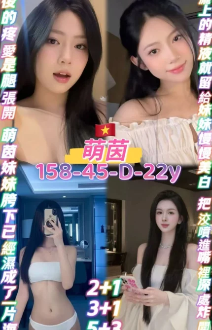 桃園定點茶-萌茵/158/45/22/D