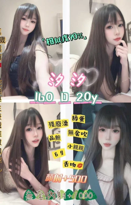 新北定點茶-汐汐/160/47/20/D