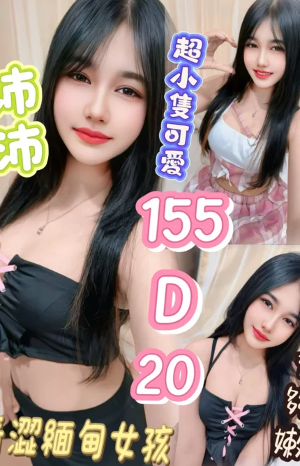 台北定點茶-沛沛/155/?/20/D