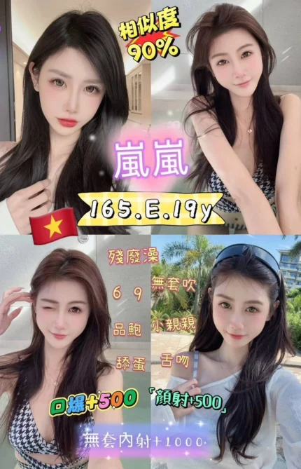 新北定點茶-嵐嵐/165/48/19/E