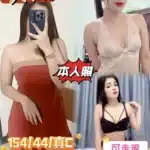 嘉義定點茶-艾妮/154/44/23/C