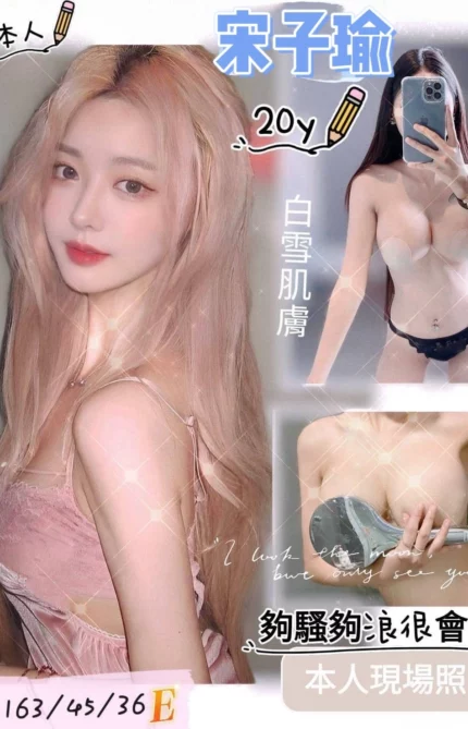 台南定點茶-宋子瑜/163/45/20/E