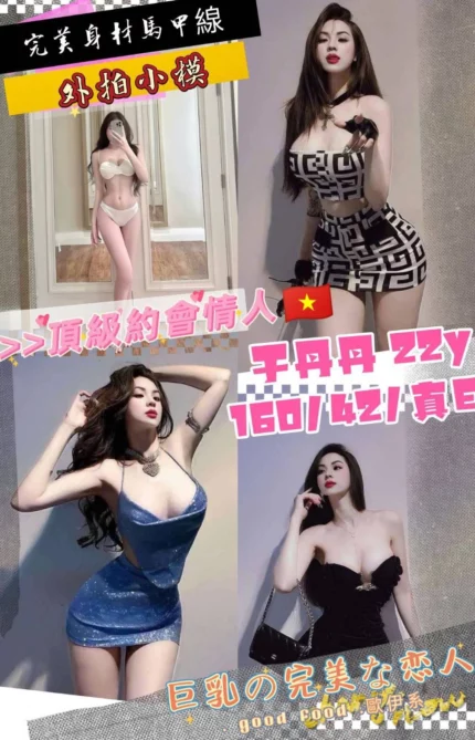 桃園定點茶-于丹丹/160/42/22/E