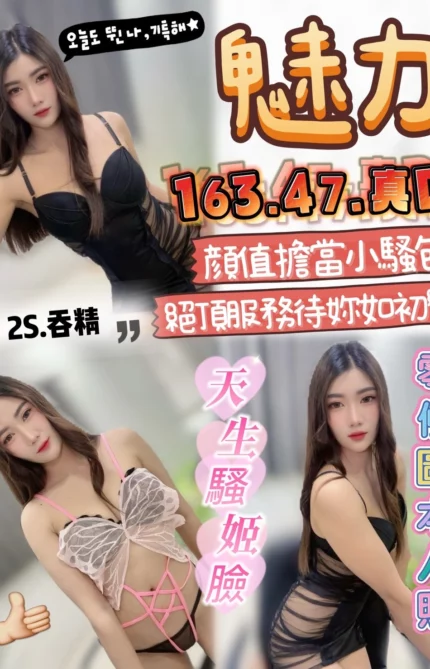 雲林定點茶-魅力/163/47/?/D