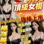 嘉義定點茶-婉兒/155/49/?/E