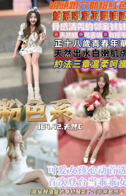 桃園定點茶-粉色系/164/42/18/C