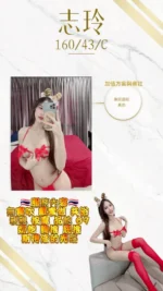 桃園定點茶-志玲/160/43/21/C