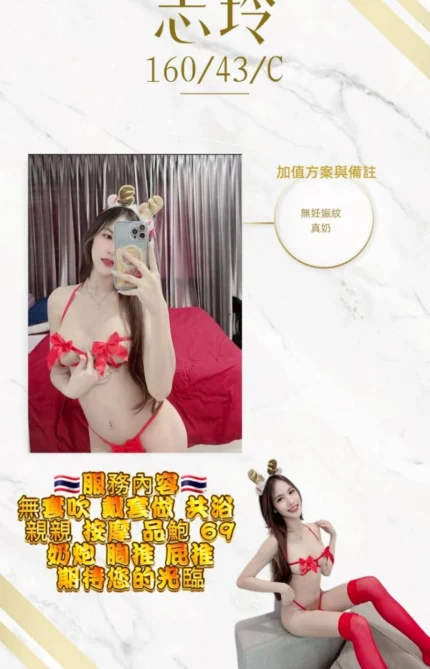 桃園定點茶-志玲/160/43/21/C