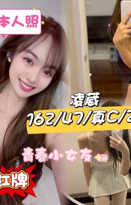 台中定點茶-凌葳/162/47/22/C