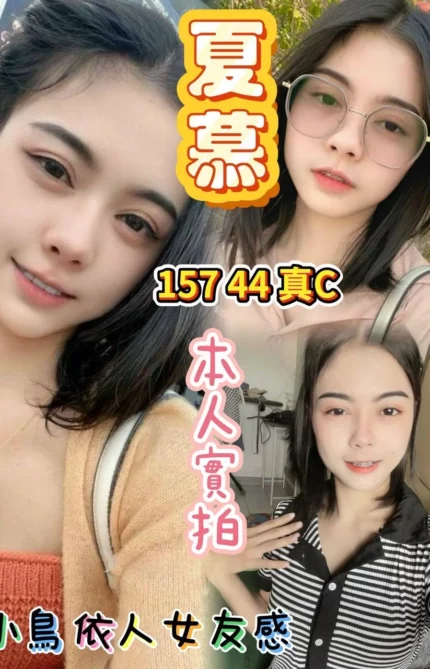 台北定點茶-夏慕/157/44/?/C