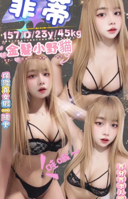 台北定點茶-菲蒂/157/45/23/D