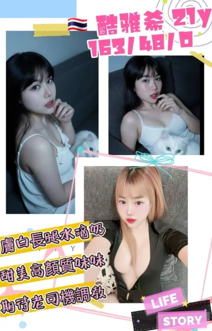 桃園定點茶-酷雅希/163/48/21/D