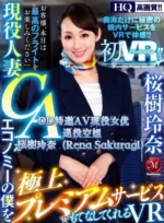 嘉義定點茶,外送茶-櫻樹玲奈/164/48/39/D