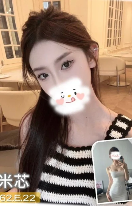 台中外送茶-米芯/162/?/22/E