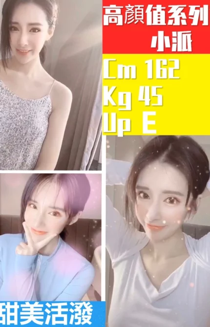 新竹定點茶-小派/162/45/?/E