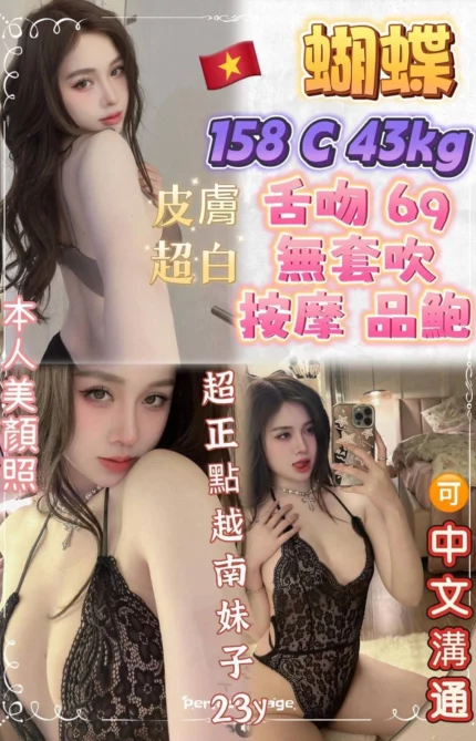 新北定點茶-蝴蝶/158/43/23/C