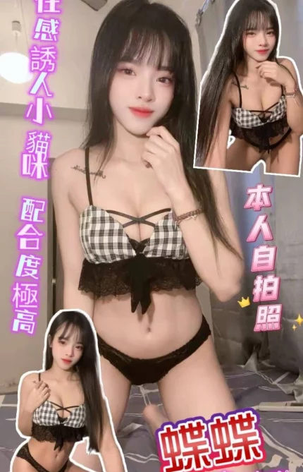 新北定點茶-蝶蝶/156/45/20/C