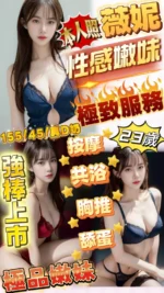 新竹定點茶-薇妮/155/45/23/D