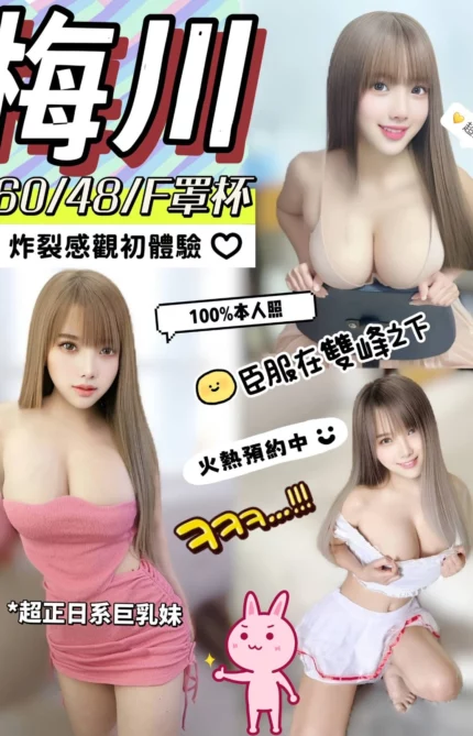 嘉義定點茶-梅川/160/48/?/F