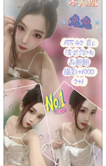 台北定點茶-兔兔/155/42/?/C