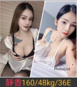 南投定點茶-靜香/160/48/26/E