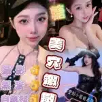 台南定點茶-糖糖/152/42/20/D