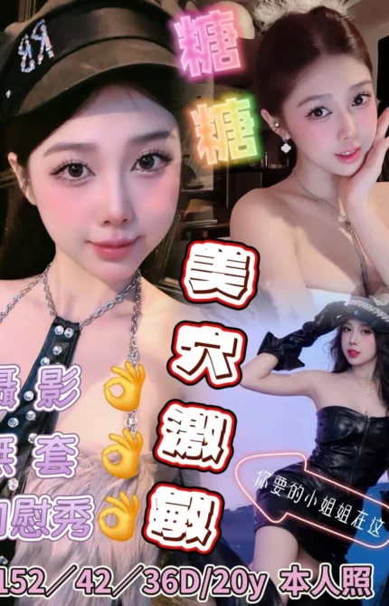 台南定點茶-糖糖/152/42/20/D