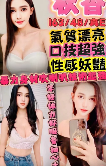 新竹定點茶-秋香/163/48/24/E