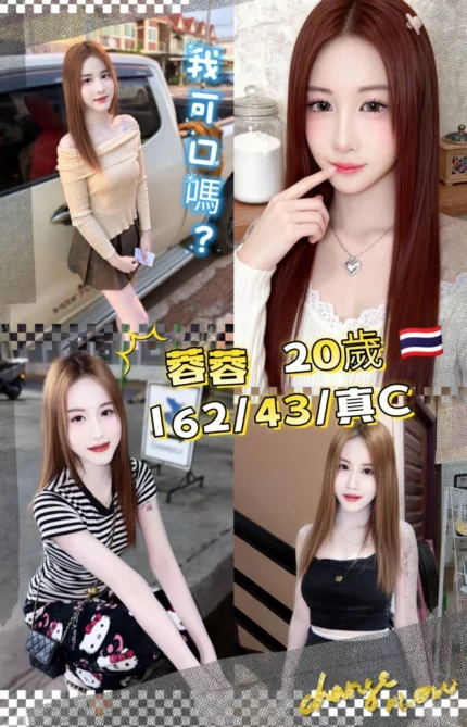 桃園定點茶-蓉蓉/162/43/20/C