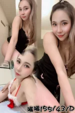 台中定點茶-喵喵/155/43/?/D