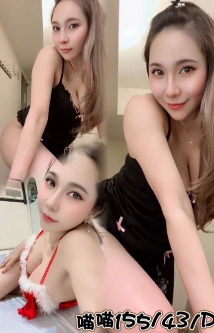 台中定點茶-喵喵/155/43/?/D