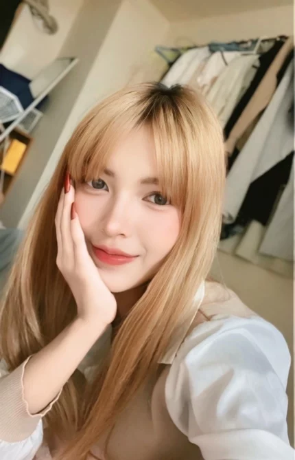 嘉義定點茶-安琪拉/160/45/22/D