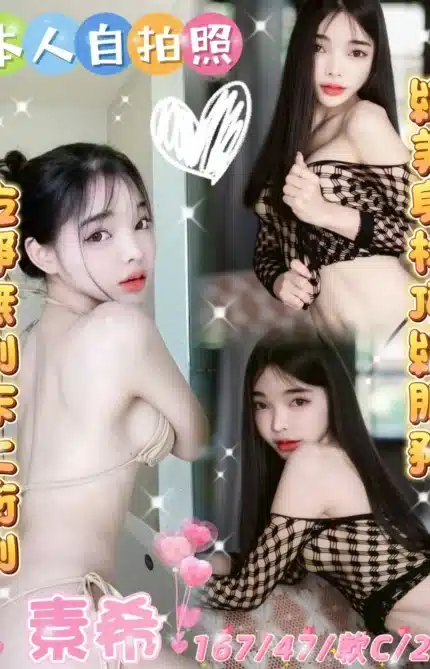 雲林定點茶-素希/167/47/25/C