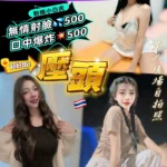 桃園定點茶-壓頭/158/45/22/C